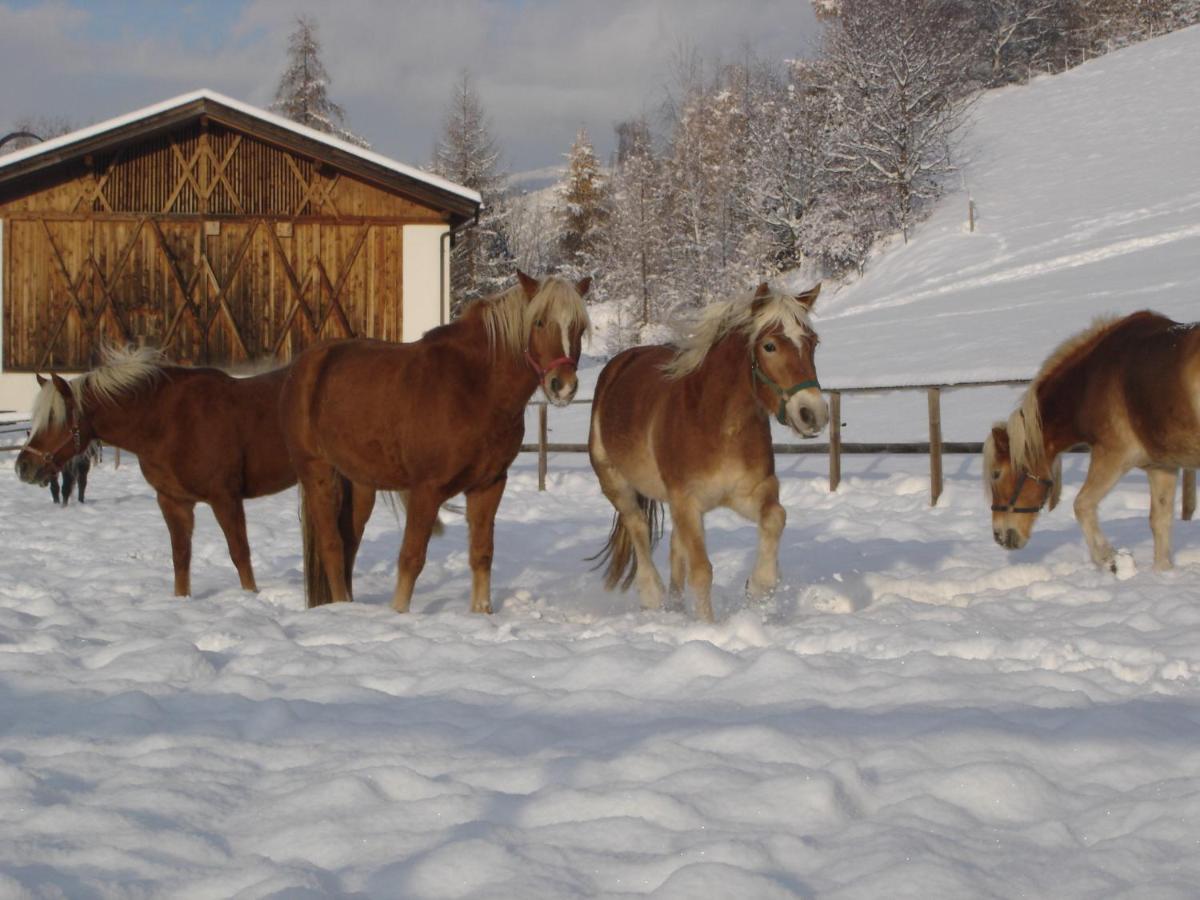 Вилла Widmannhof - Urlaub Auf Dem Biobauernhof Брессаноне Экстерьер фото